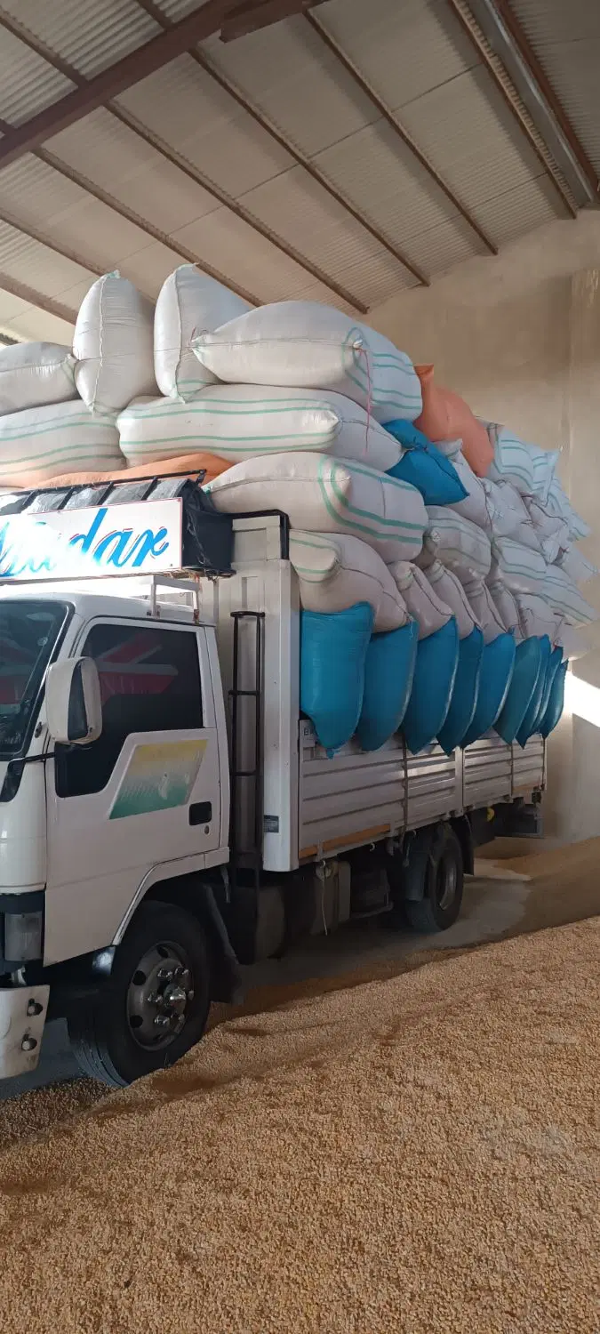 فروش انواع علوفه یونجه کاه کلش|لوازم جانبی حیوانات|کرج, خلج آباد|دیوار