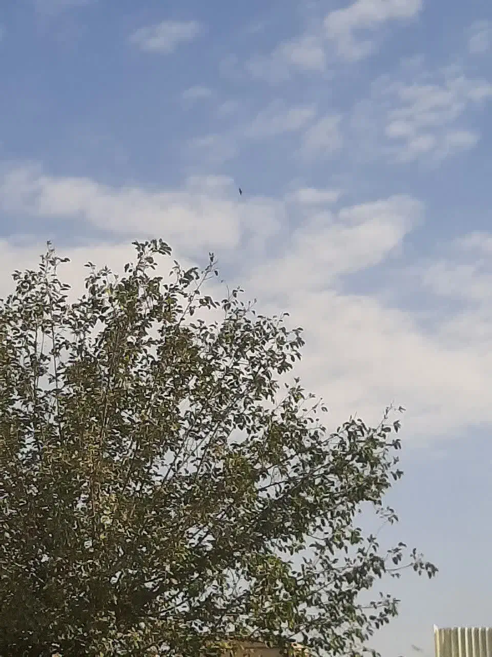 زمین|فروش زمین و ملک کلنگی|قیامدشت - خاورشهر, |دیوار