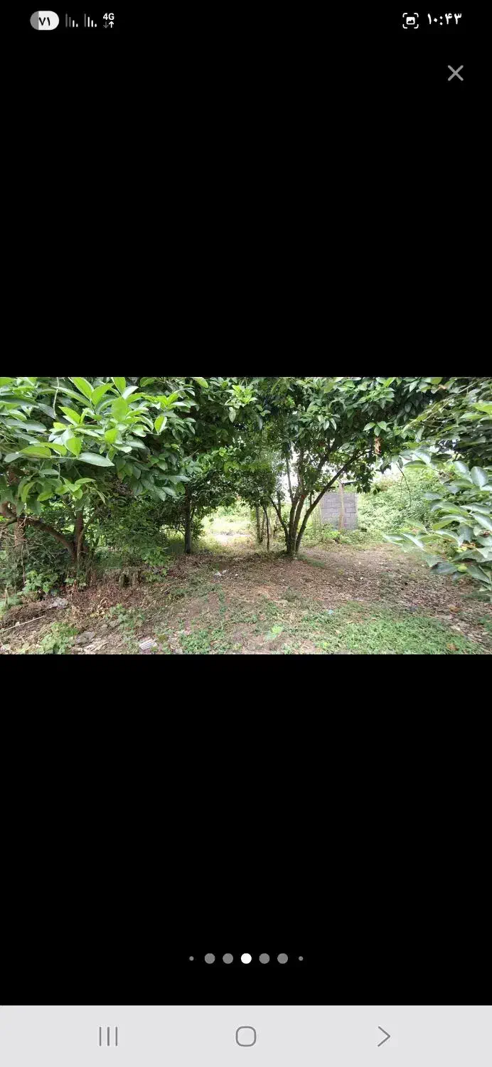 ۶۷۰ مترباغ ویلاجای دنج روستایی سنگررشت|فروش خانه و ویلا|سنگر, |دیوار