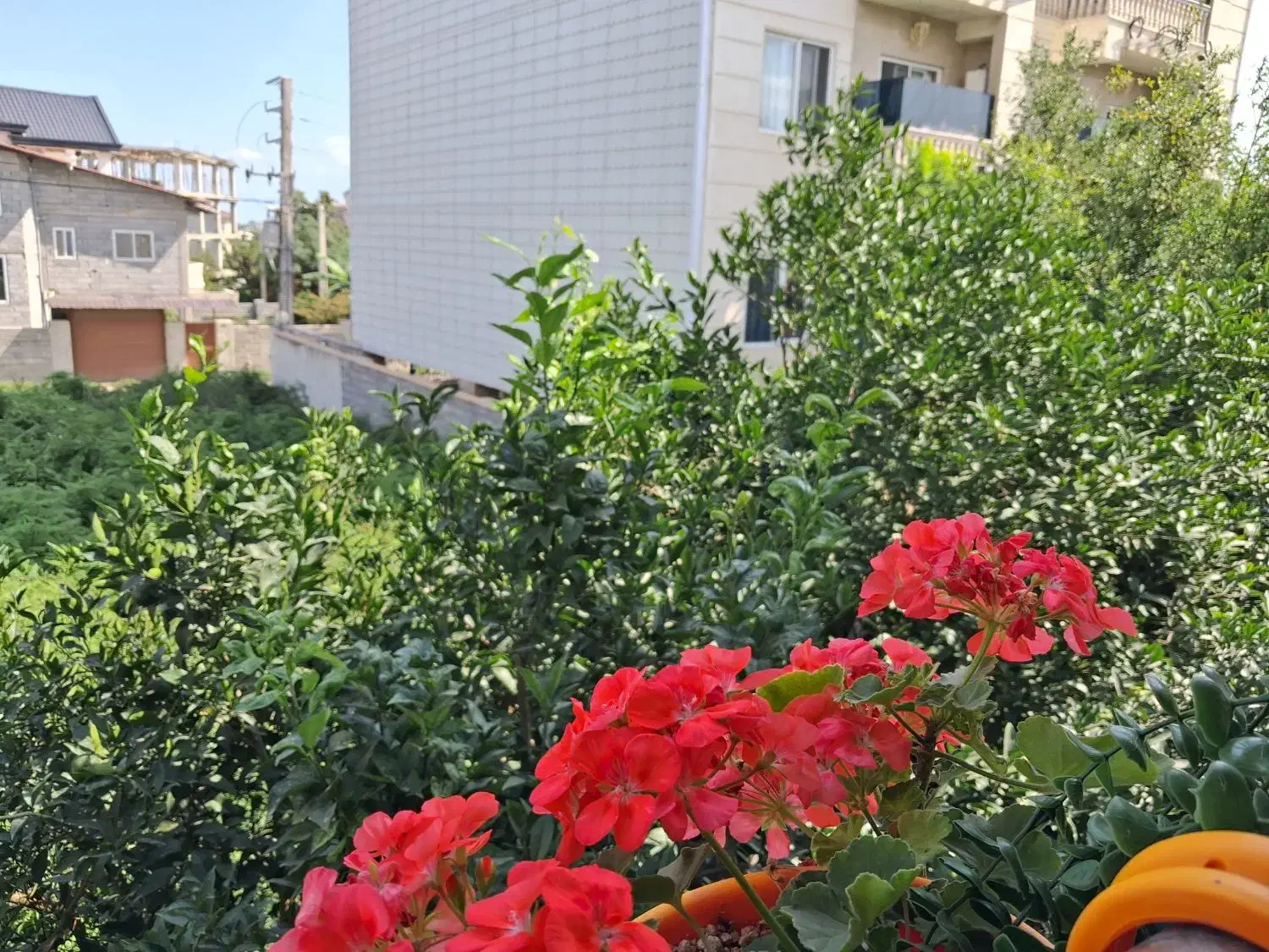 اجاره روزانه ویلا دوخوابه .حیاط.پارکینگ مستقل|اجارهٔ کوتاه‌مدت آپارتمان و سوئیت|کتالم و سادات شهر, |دیوار