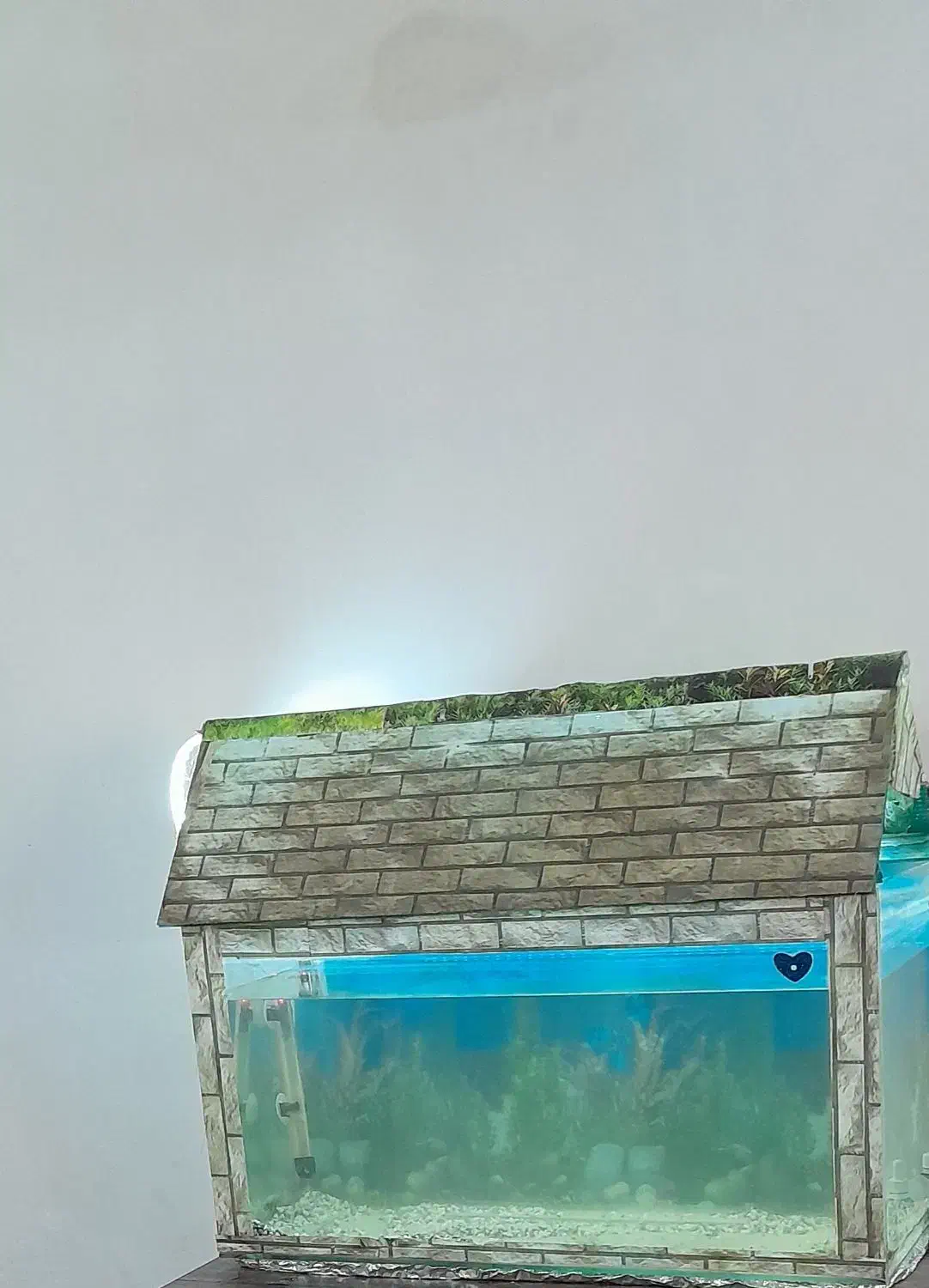 اکواریوم|ماهی|اهواز, فدک|دیوار