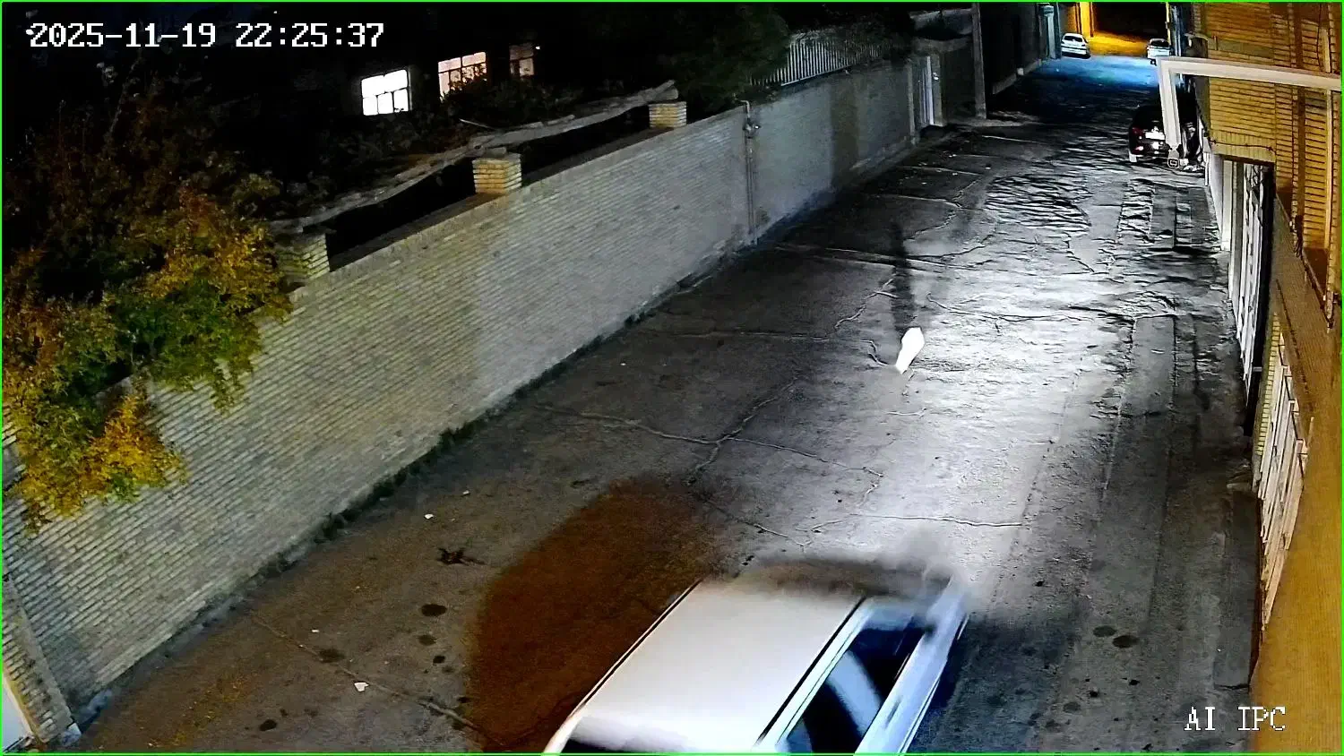 سگ اشپیتز گمشده. خیابان امام|حیوانات|رفسنجان, |دیوار