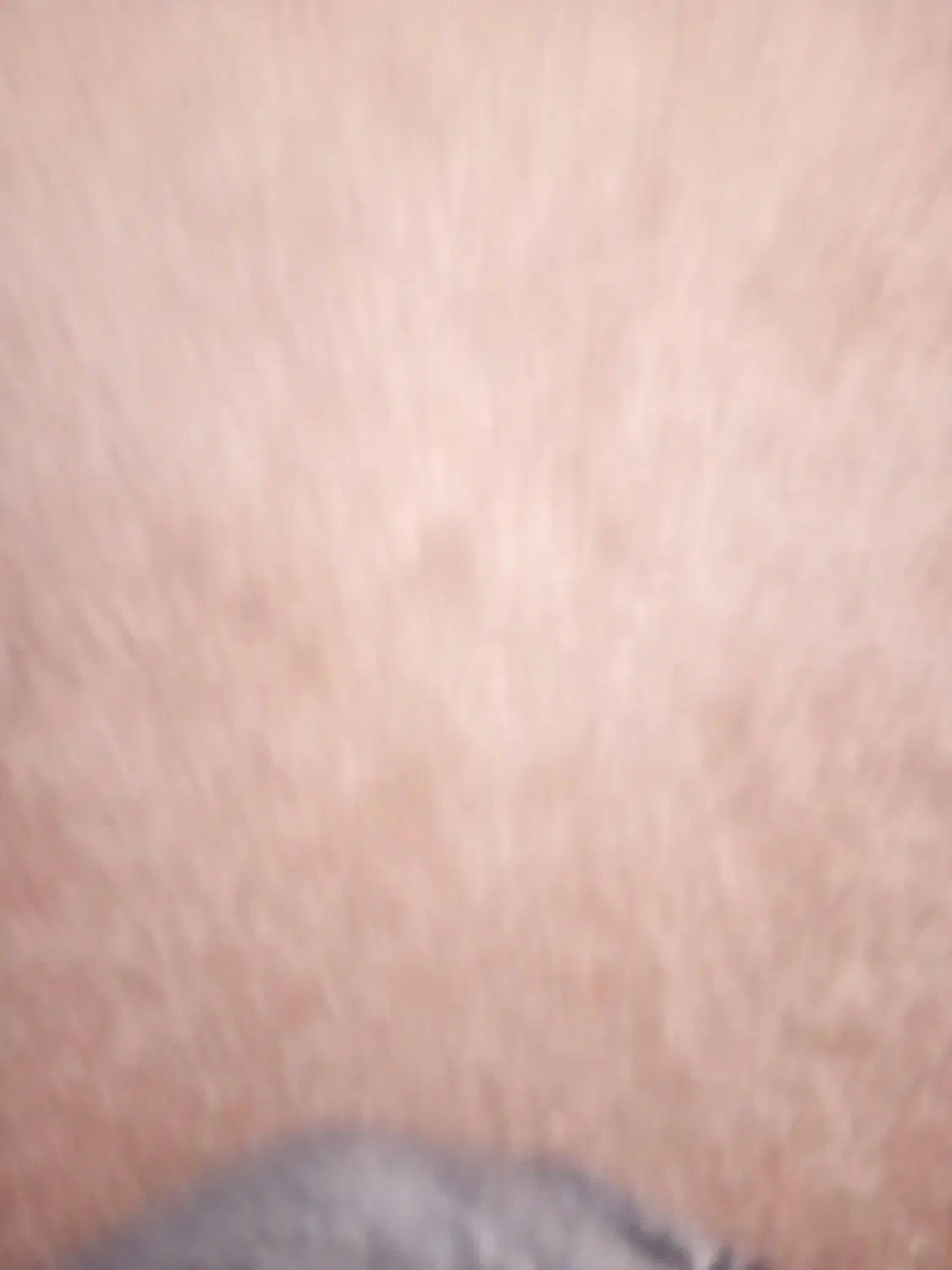 پایه دوربین عکاسی|دوربین عکاسی و فیلم‌برداری|تبریز, |دیوار