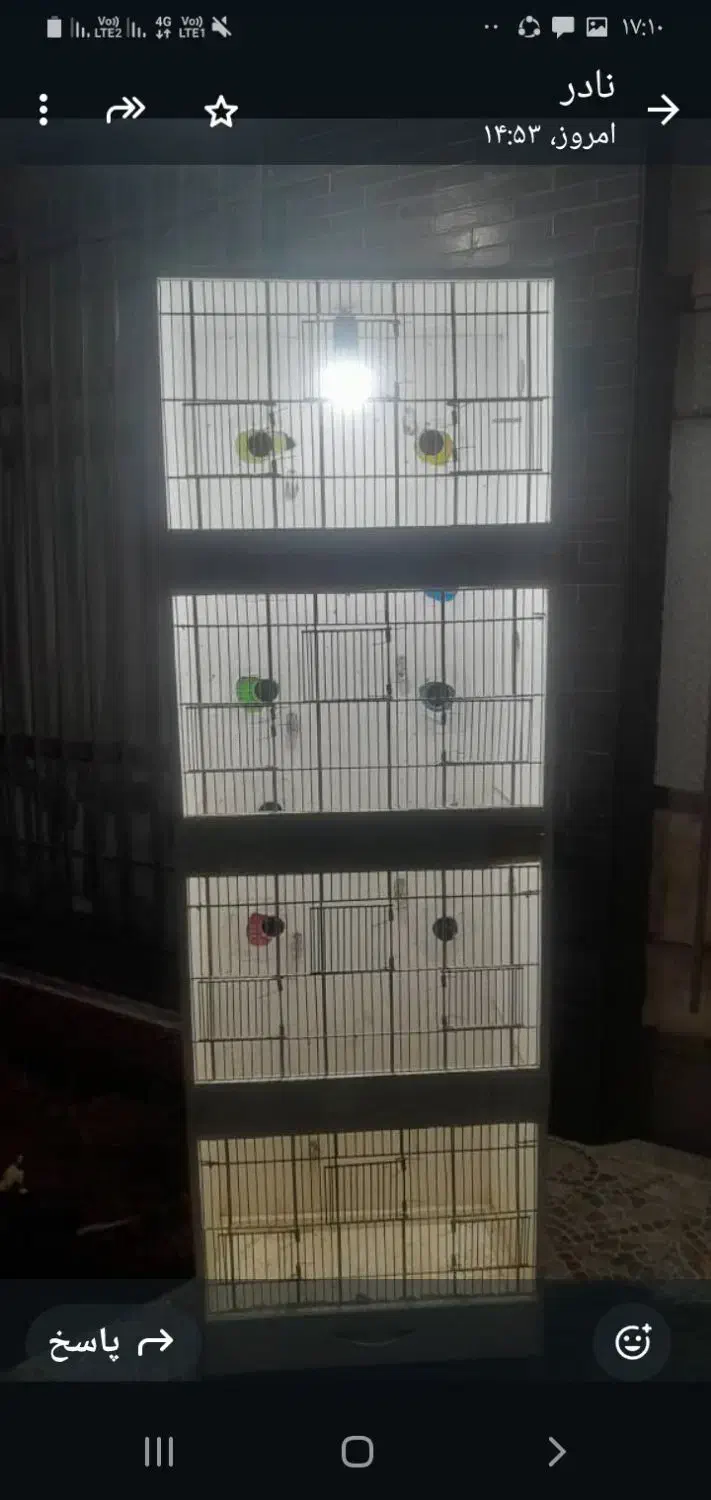 قفس مرغ عشق|لوازم جانبی حیوانات|شیراز, بازار|دیوار