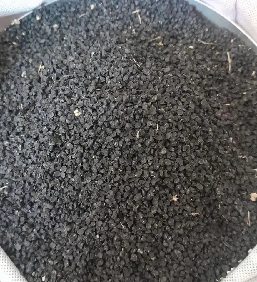 بذرپیاز قرمز۴۵۰|گل و گیاه طبیعی|شیراز, کوشک میدان|دیوار