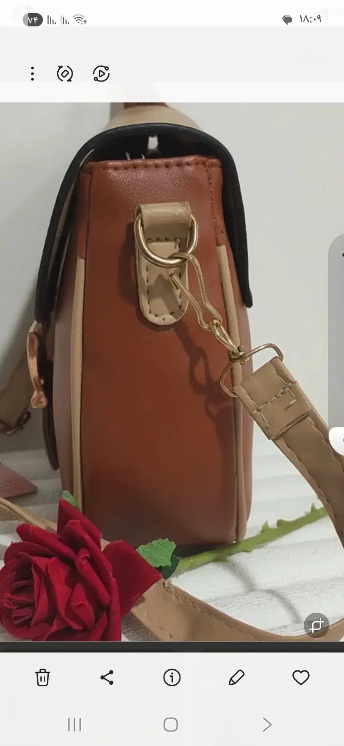 کیف زنانه گم شده|کیف، کفش، کمربند|خوی, |دیوار