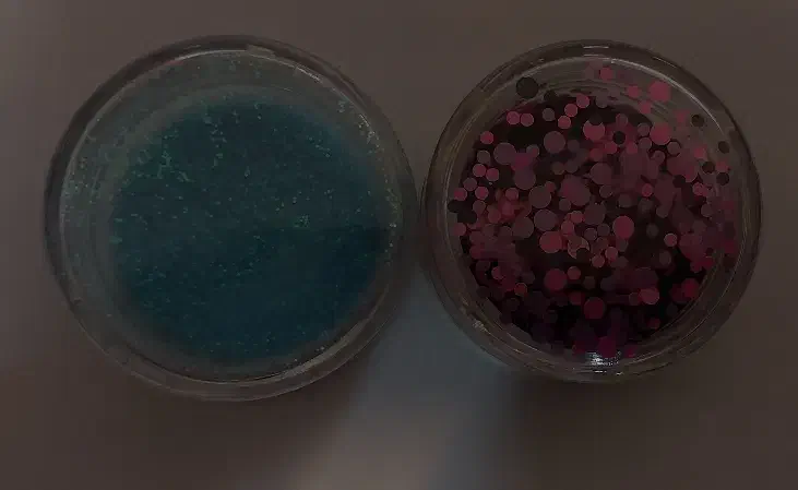 فروش شوگر و شیمر|عمده‌فروشی|بروجن, |دیوار