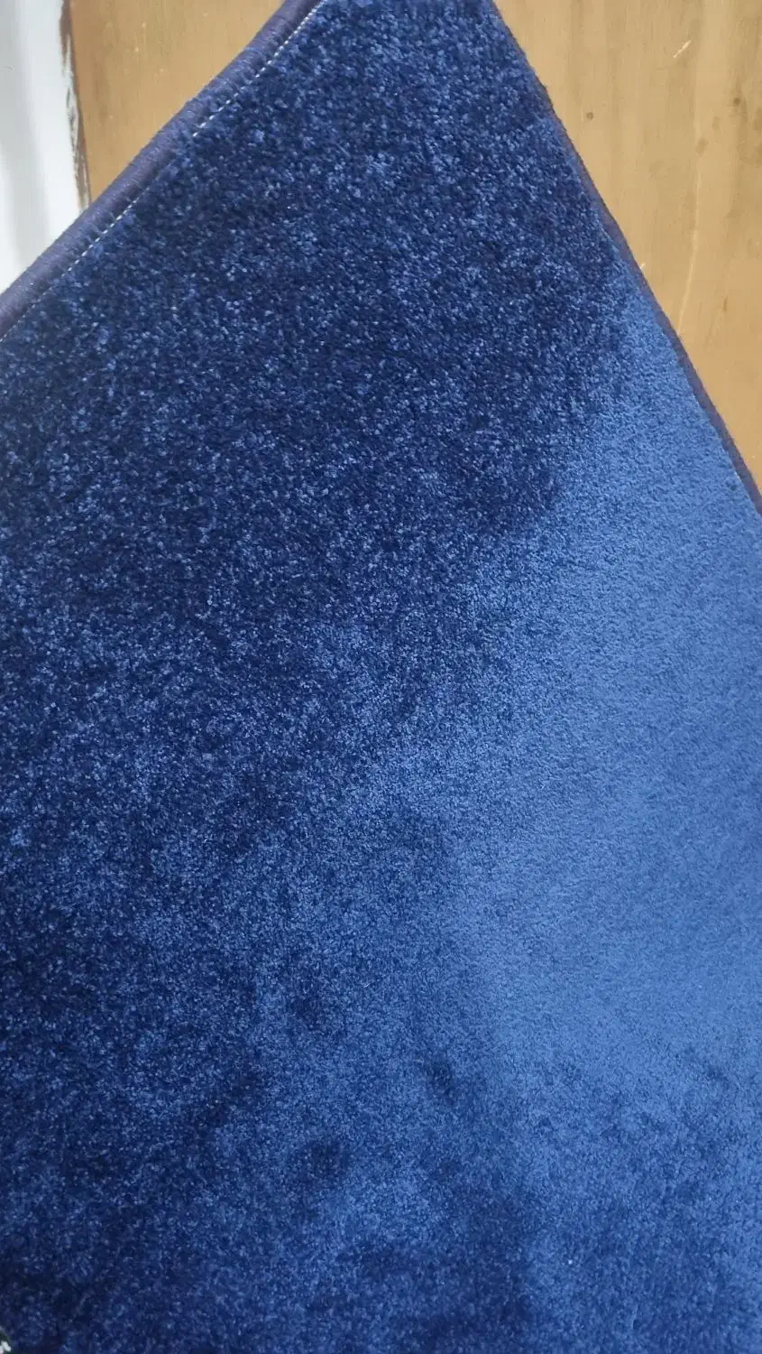 فروش پالاز موکت ۱۲متری|موکت|اندیمشک, |دیوار