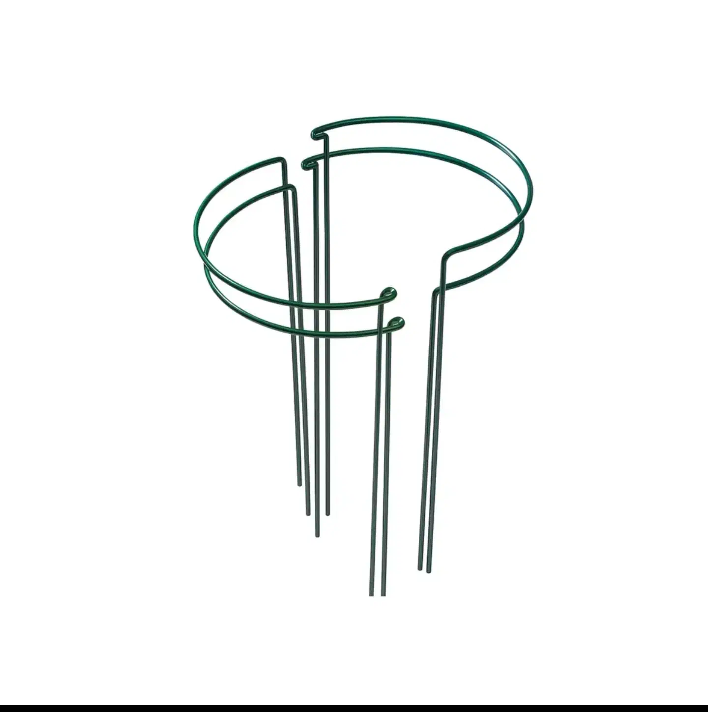 نگهدارنده گیاه(قیم گیاه)|گل و گیاه طبیعی|اندیشه, اندیشه فاز ۵|دیوار