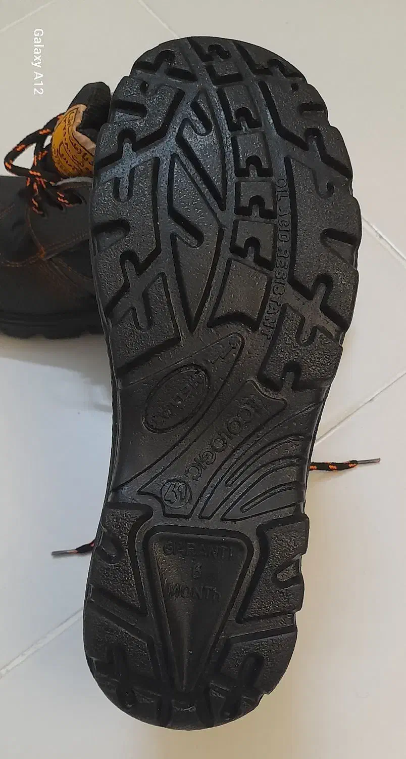 کفش کار|کیف، کفش، کمربند|گلبهار, شهر جدید گلبهار|دیوار