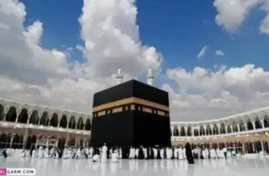 فروش فیش حج واجب|تور و چارتر|شهرضا, |دیوار