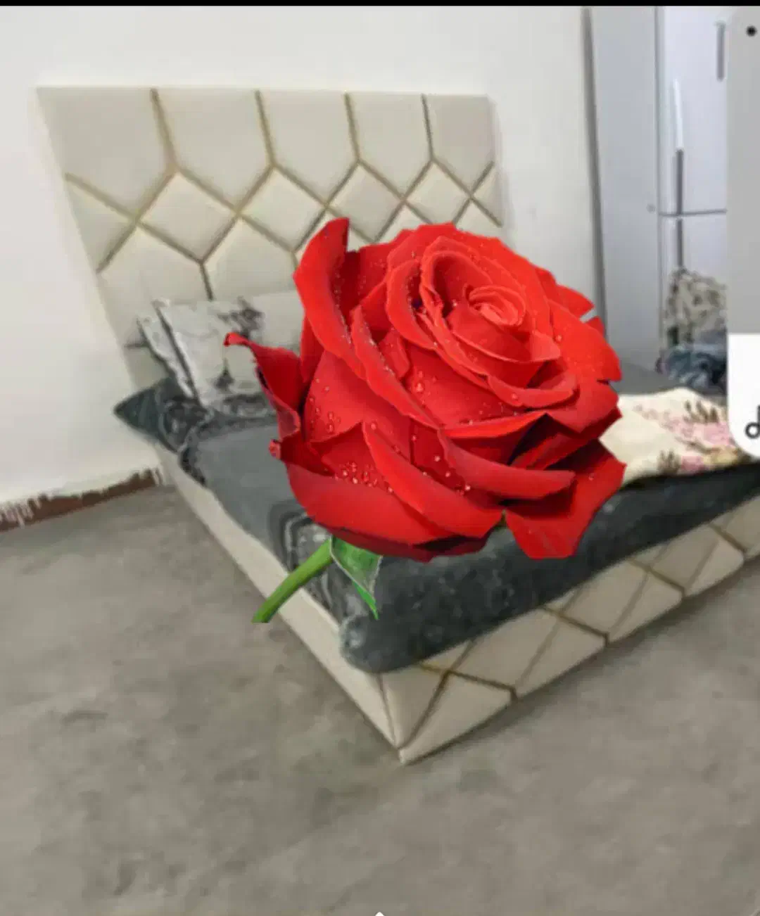 تخت خواب|تخت و سرویس خواب|شوش, |دیوار