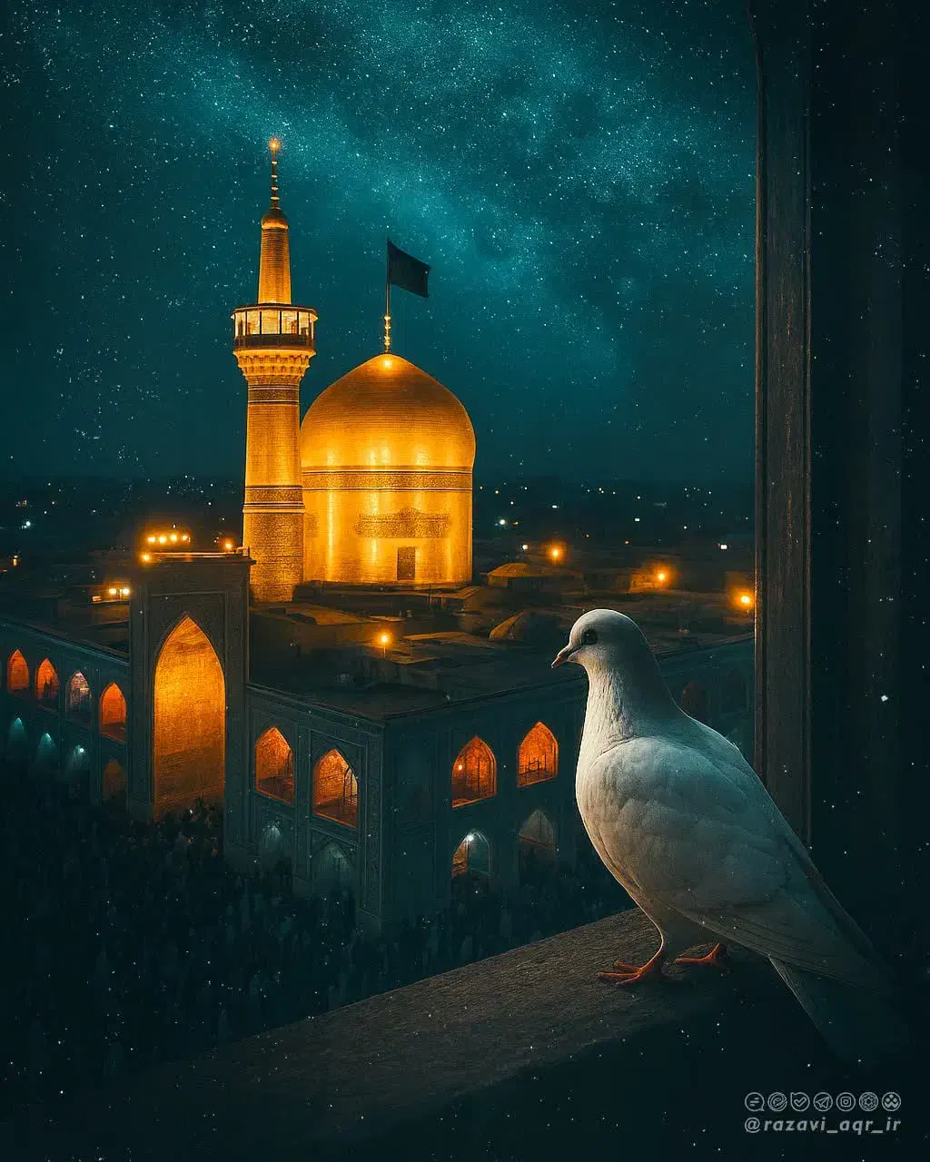 تورهای مشهد مقدس ویژه مهرماه|تور و چارتر|شیراز, میانرود|دیوار