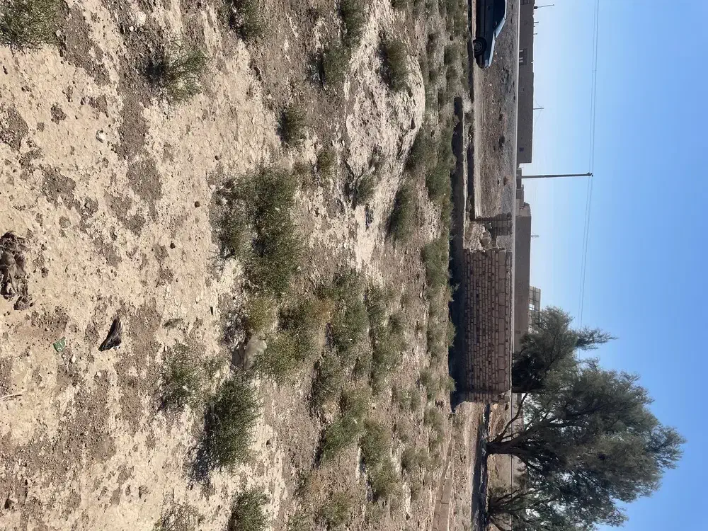 زمین فروشی تجاری و مسکونی شهرک گلخانی|فروش زمین و ملک کلنگی|صابری, |دیوار