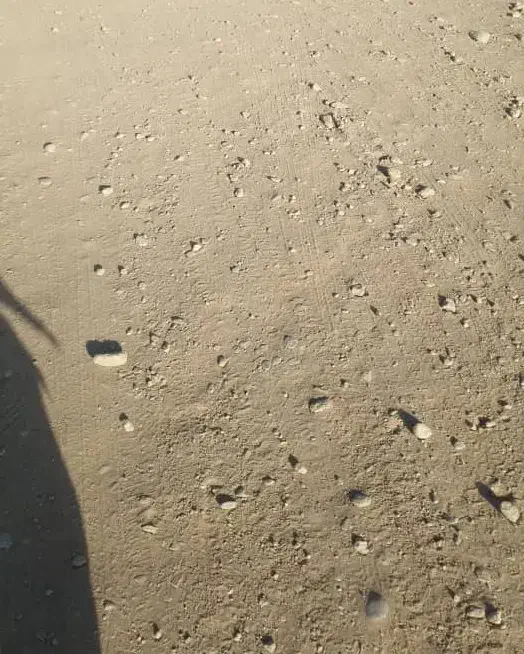 زمین فروش فوری کنار پمپ چاوش|فروش زمین و ملک کلنگی|خاش, |دیوار