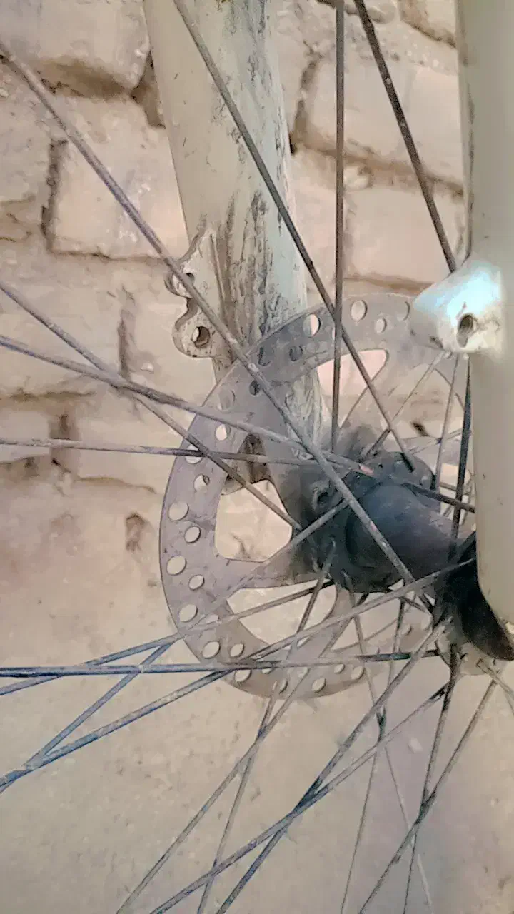 دوچرخه|دوچرخه، اسکیت، اسکوتر|گالیکش, |دیوار