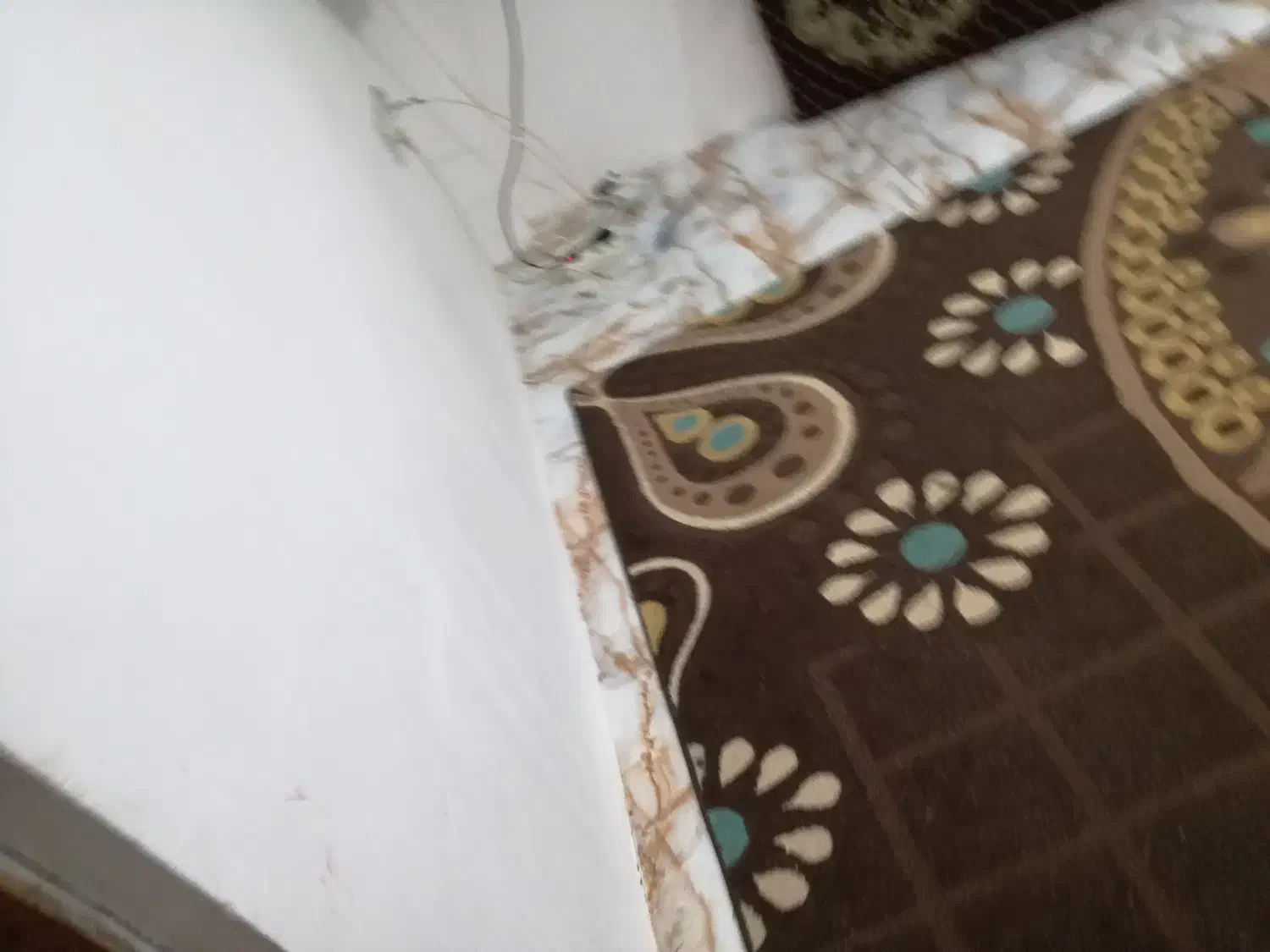 خدماتی|خدمات نظافت|لاهیجان, کوی خزر|دیوار