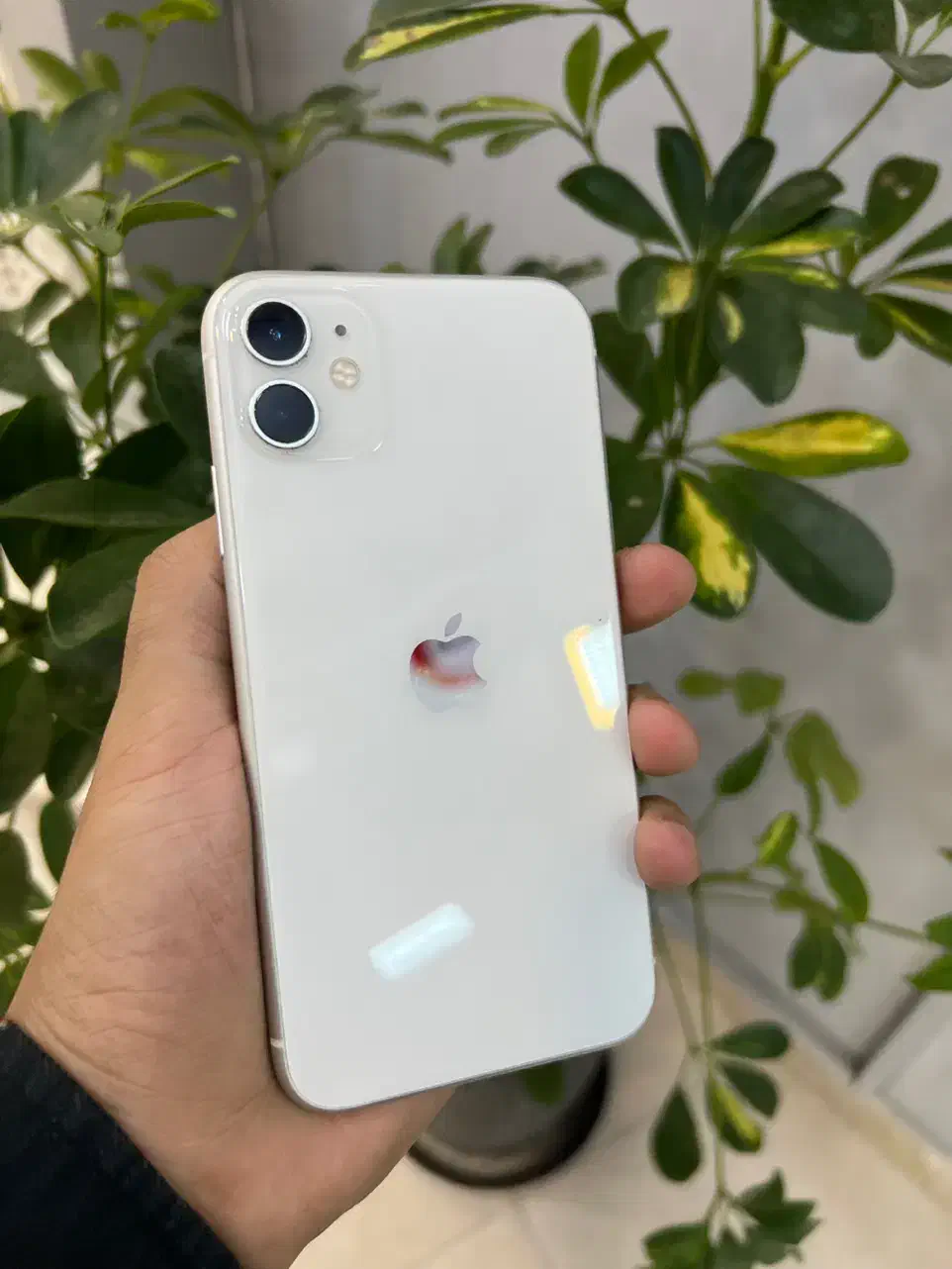Apple 11 normal ایفون|موبایل|مشهد, عامل|دیوار