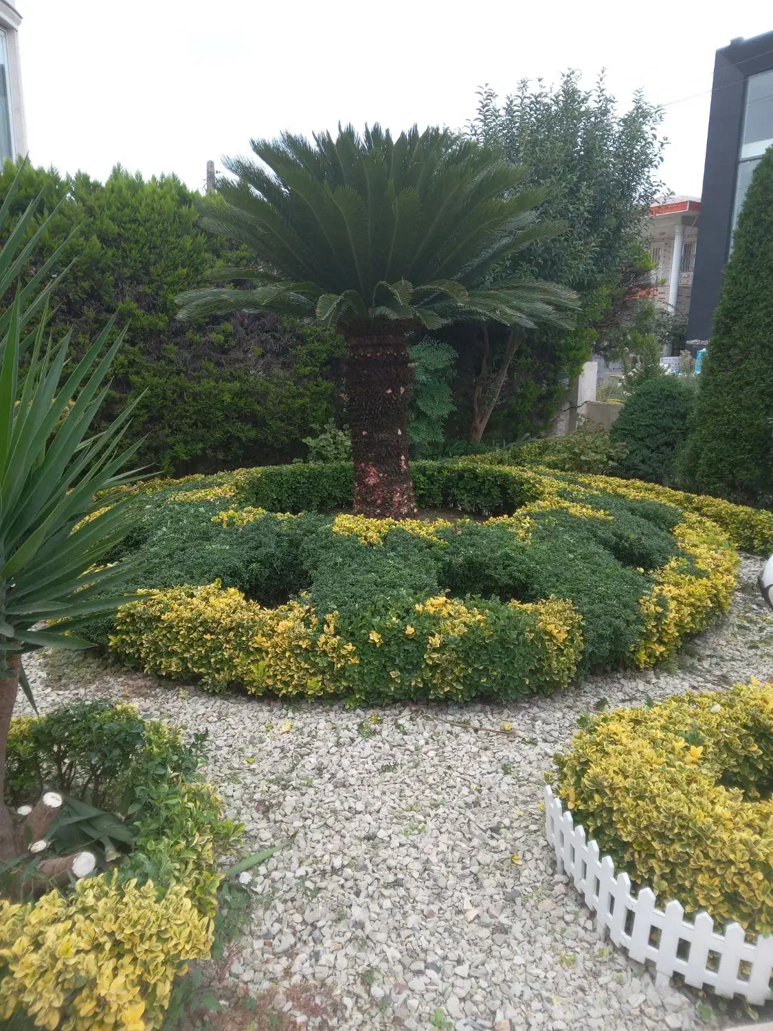 باغبانی و نگهداری فضای سبز|خدمات باغبانی و درختکاری|عباسآباد, |دیوار