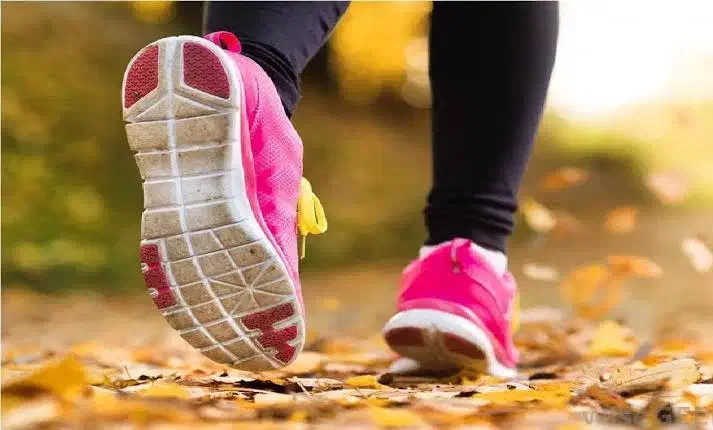 پیاده روی|فعالیت داوطلبانه|اصفهان, باغ کاران|دیوار