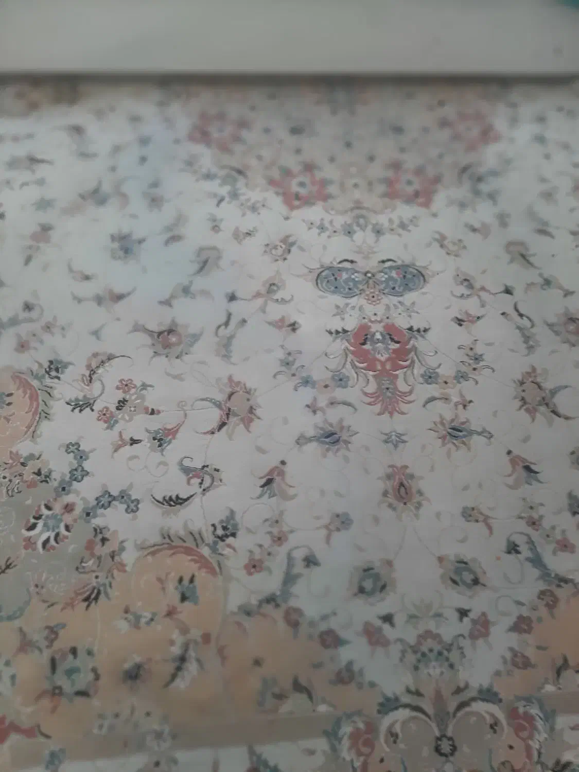 فرش ۱۲ متری مشهد|فرش|رودهن, |دیوار