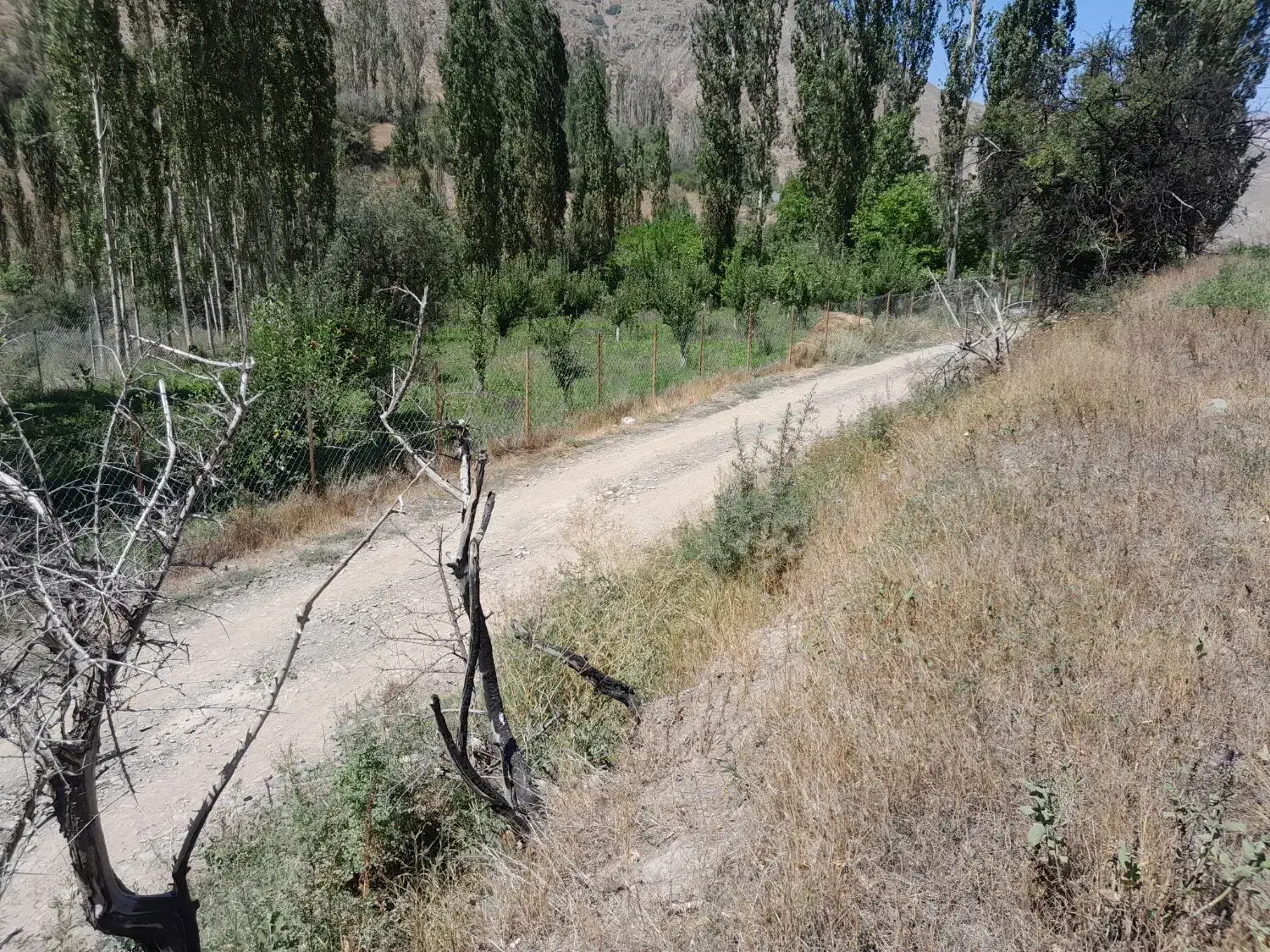 زمین کشاورزی متراژ ۲۰۰۰و پایین تر|فروش زمین و ملک کلنگی|بلده, |دیوار