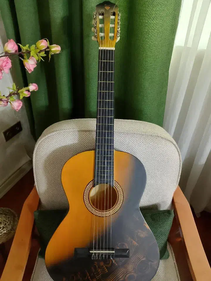 گیتار|گیتار، بیس، امپلیفایر|ری, دولتآباد|دیوار