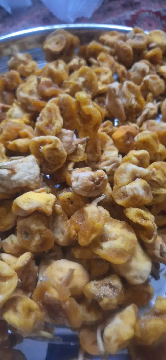 انجیر خشک و مربا انجیر عالی|خوردنی و آشامیدنی|فشاپویه, |دیوار