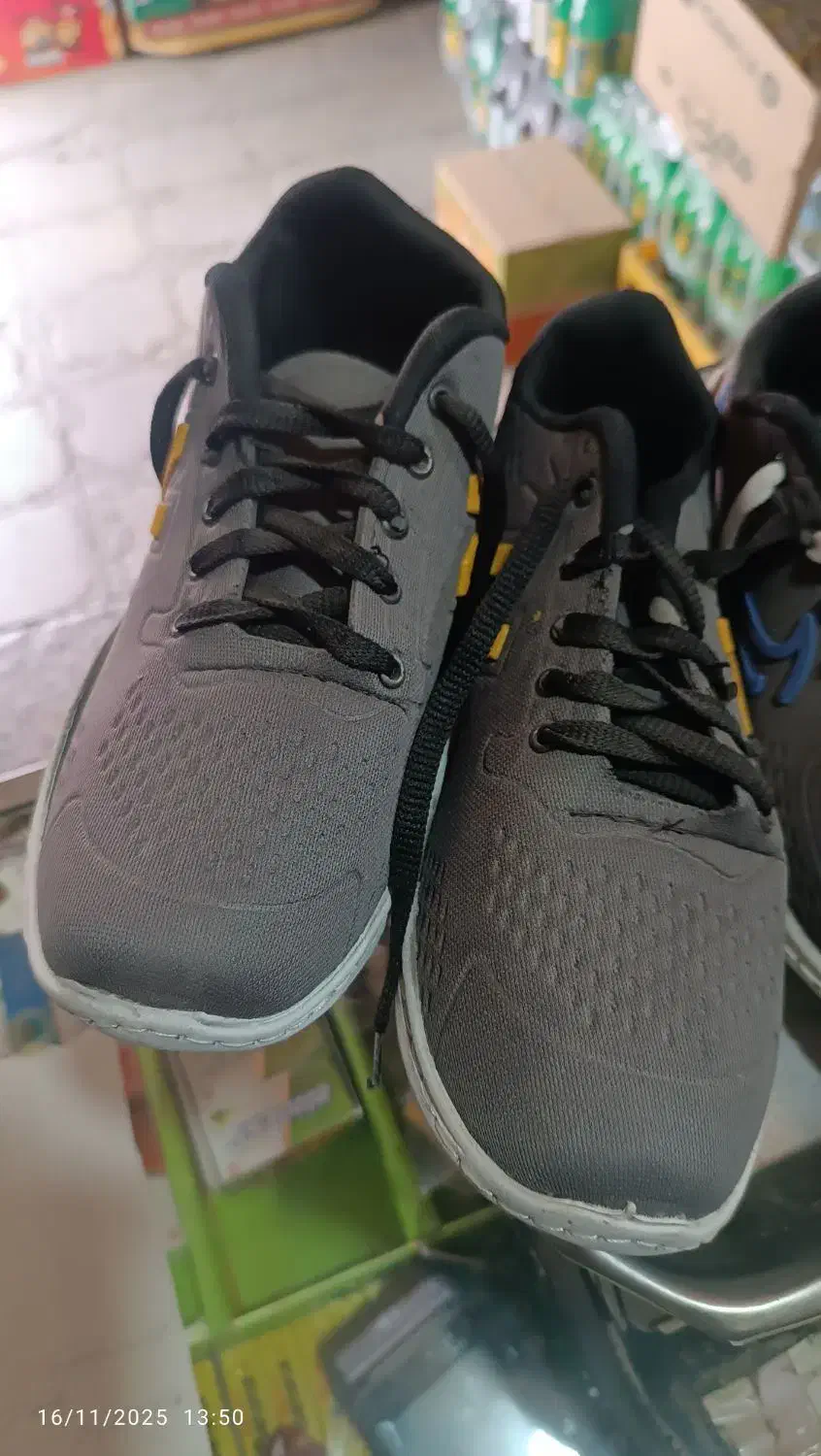 3جفت کفش نو|کیف، کفش، کمربند|تربت جام, مطهری|دیوار