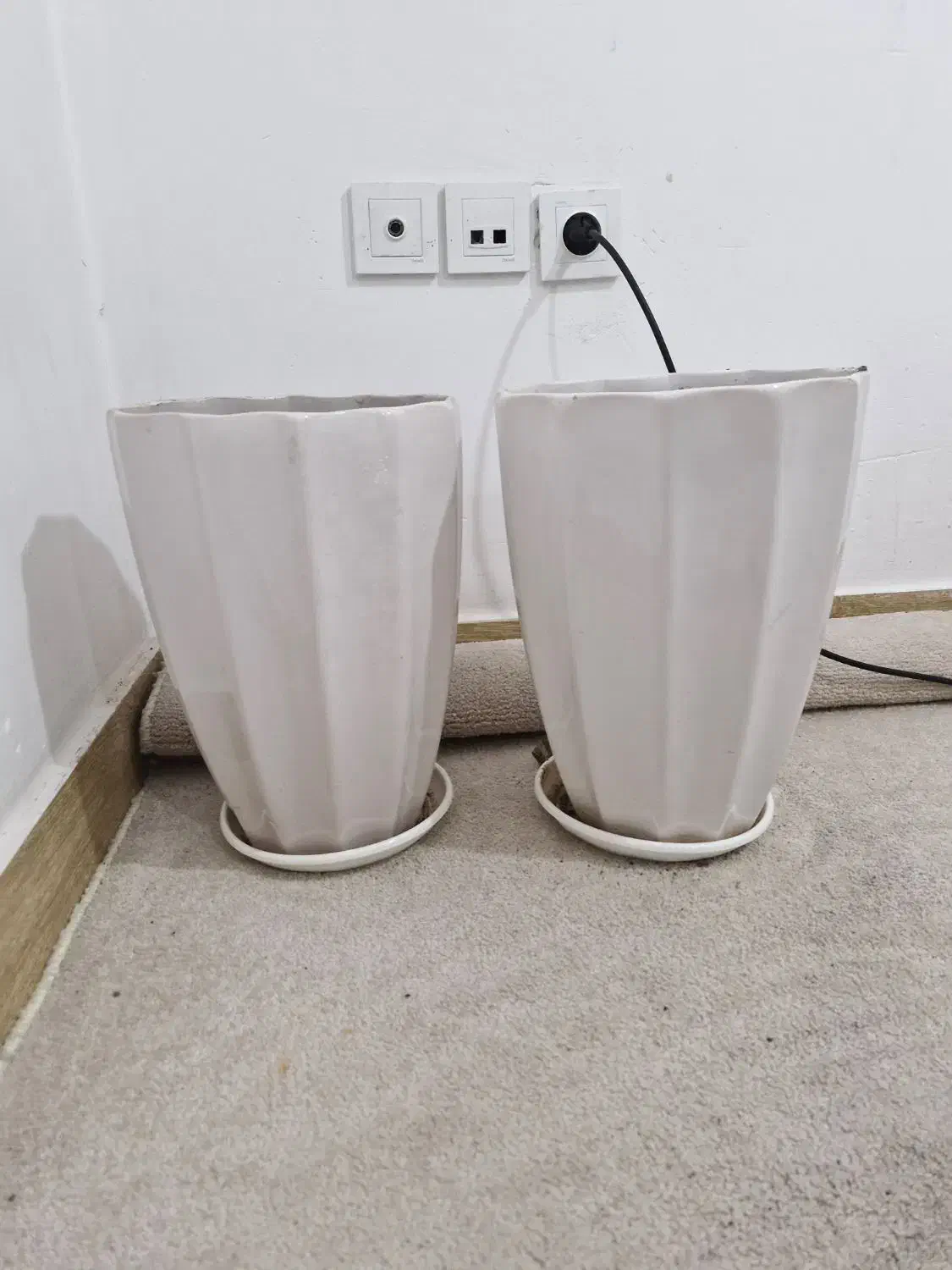 گلدان سرامیکی|گل و گیاه طبیعی|بهارستان, |دیوار