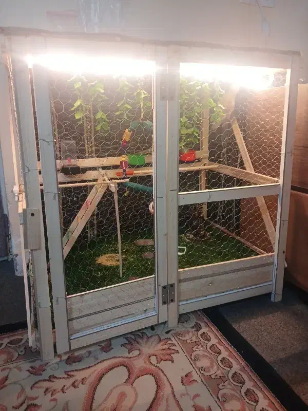 قفس|لوازم جانبی حیوانات|اراک, |دیوار