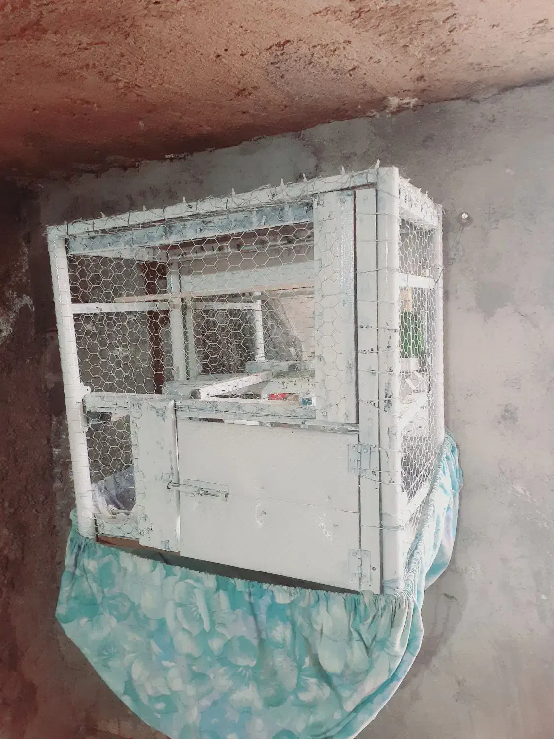 قفس|لوازم جانبی حیوانات|علی‌آباد کتول, |دیوار