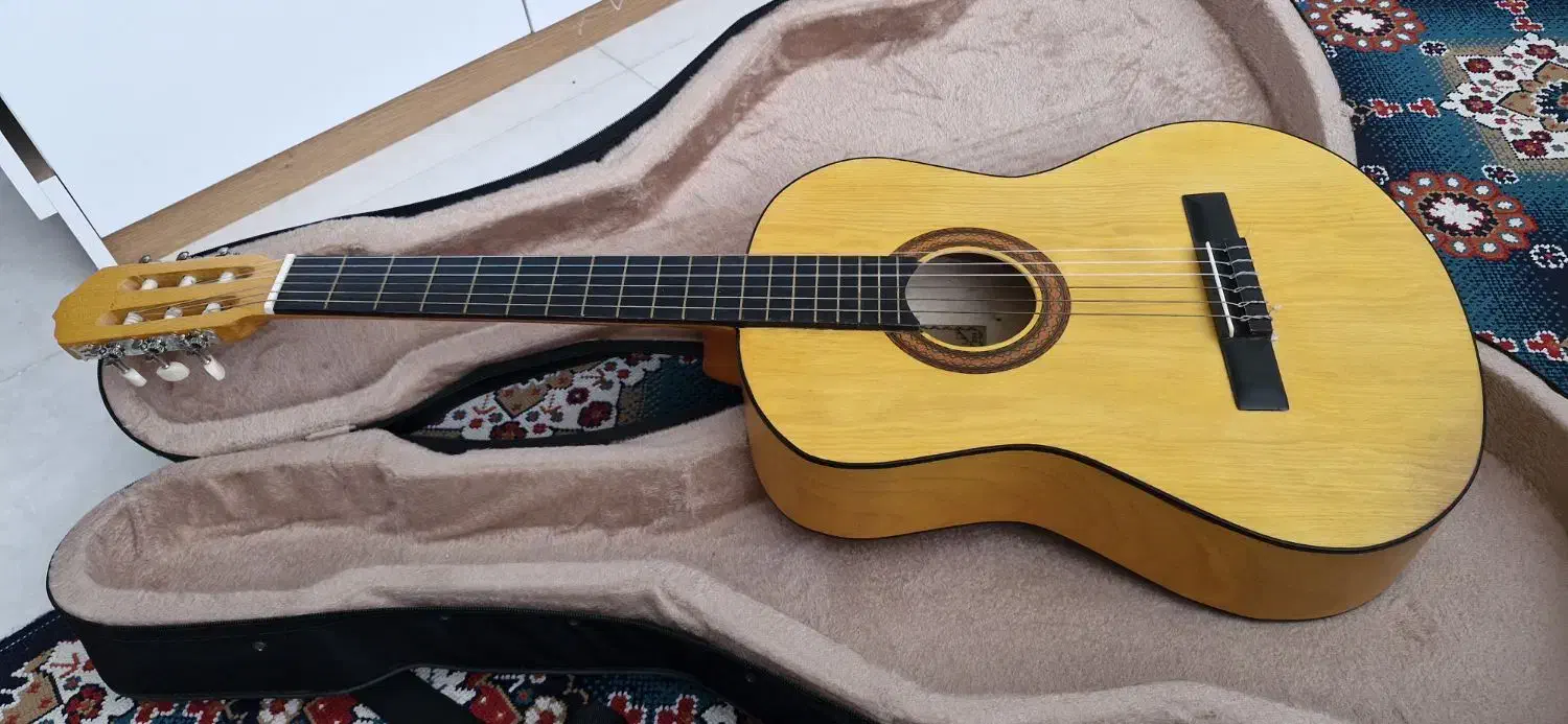 گیتار نو همراه با هارد باکس|گیتار، بیس، امپلیفایر|دورود, |دیوار