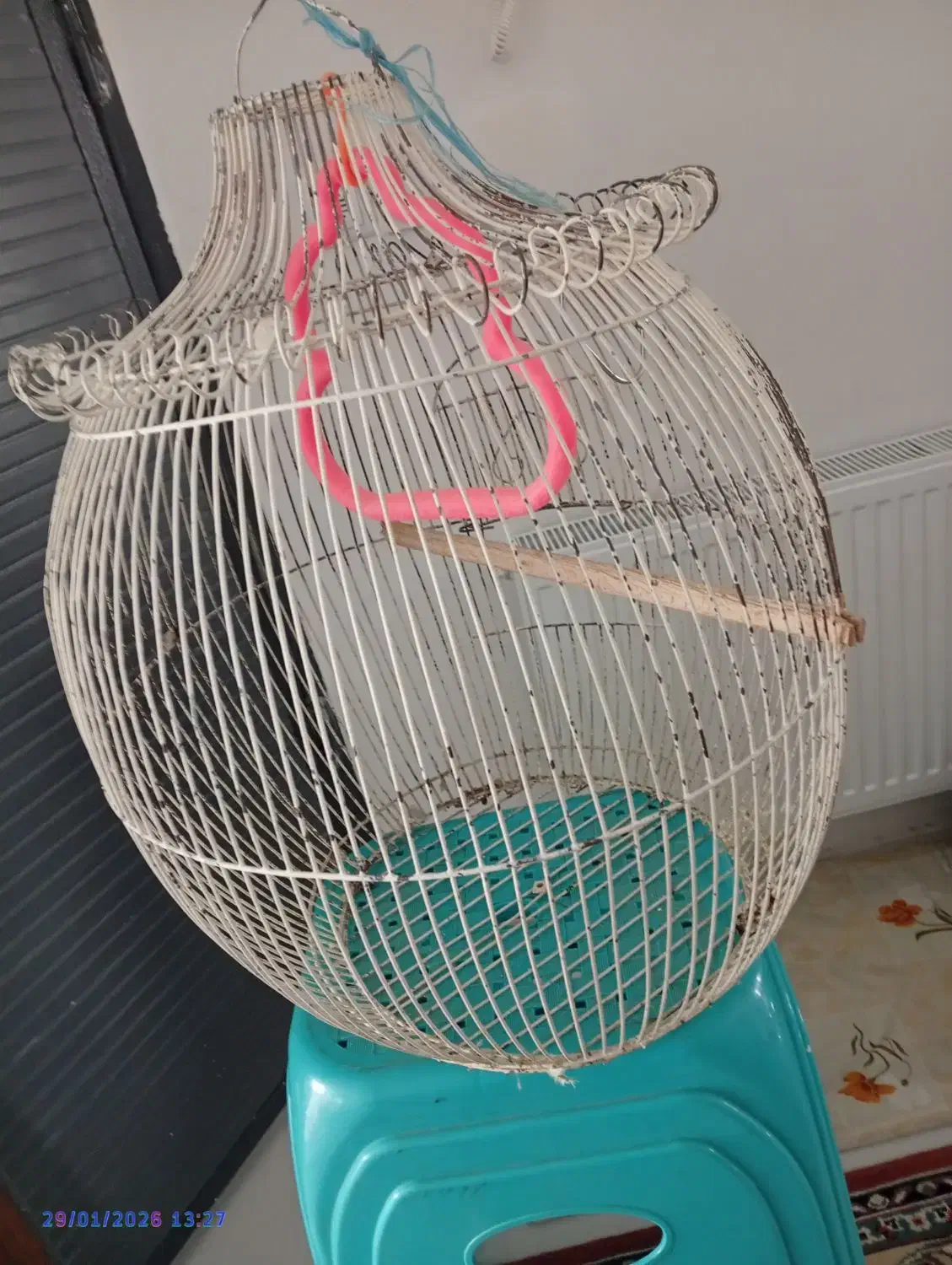 قفس|لوازم جانبی حیوانات|مشهد, امیریه|دیوار