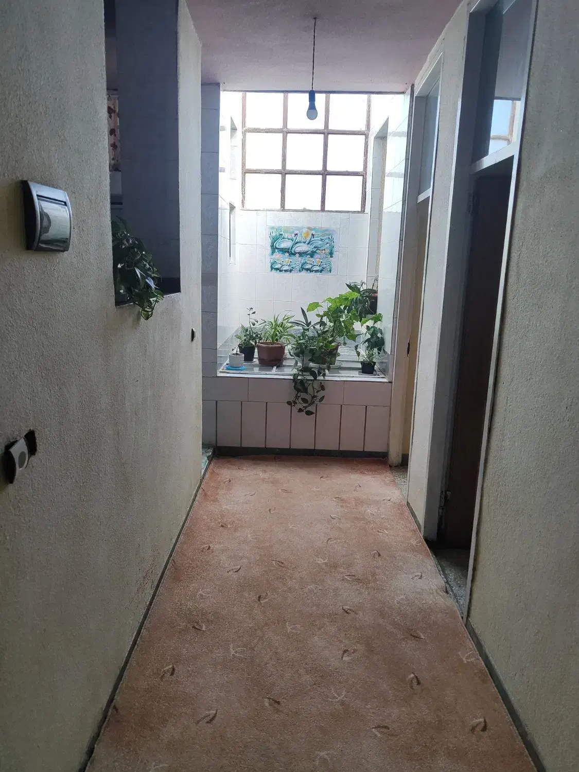 منزل مسکونی|اجارهٔ خانه و ویلا|مرودشت, بیست متری بیمارستان|دیوار