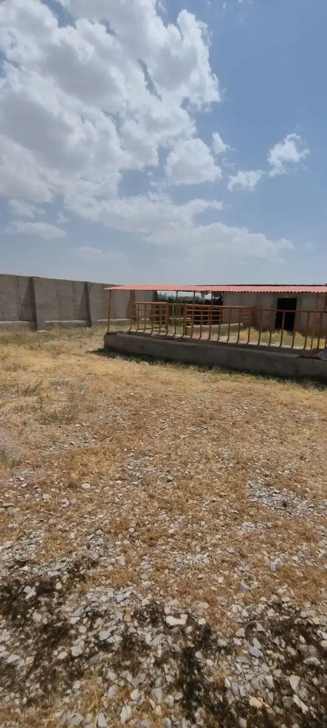 گاوداری ، اطراف ملکان .|فروش دفتر صنعتی، کشاورزی، تجاری|بکتاش, |دیوار