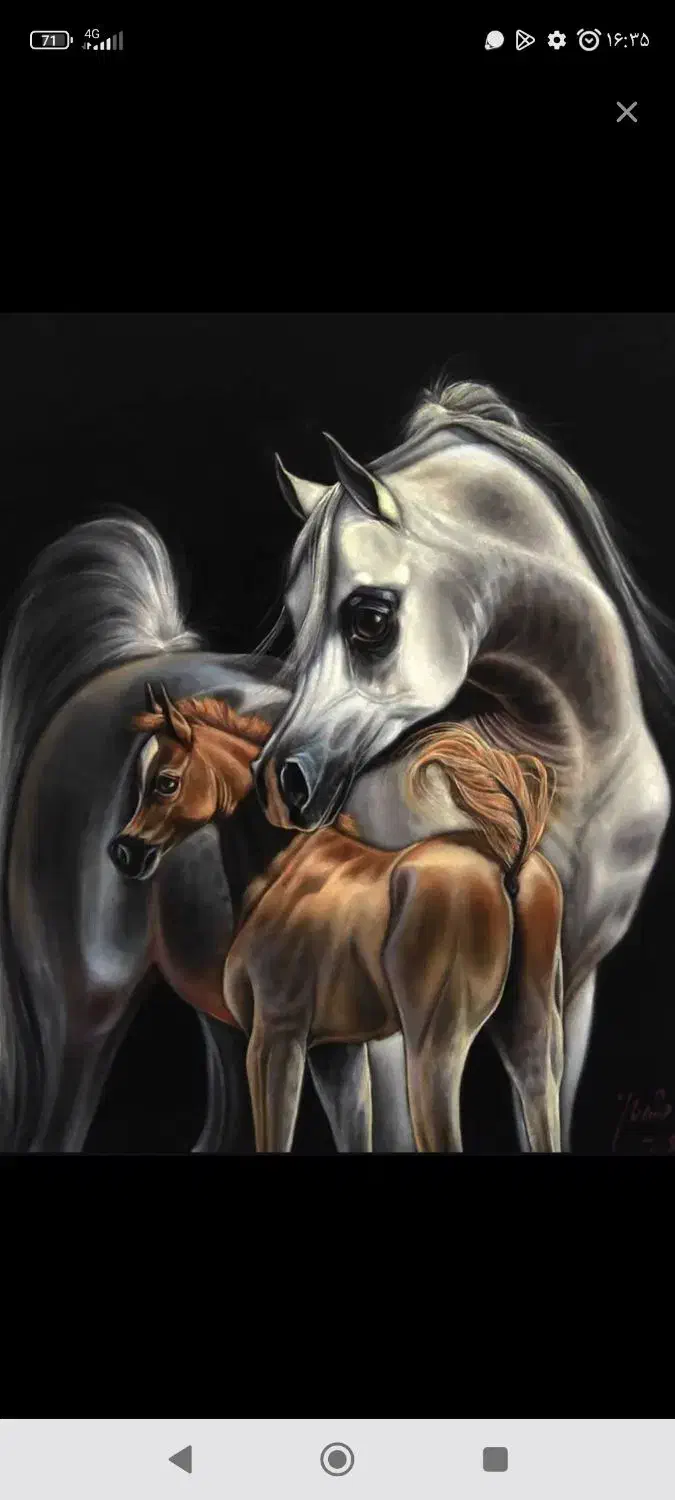 مادیان و کره مادیان|اسب و تجهیزات اسب‌سواری|شهرکرد, |دیوار