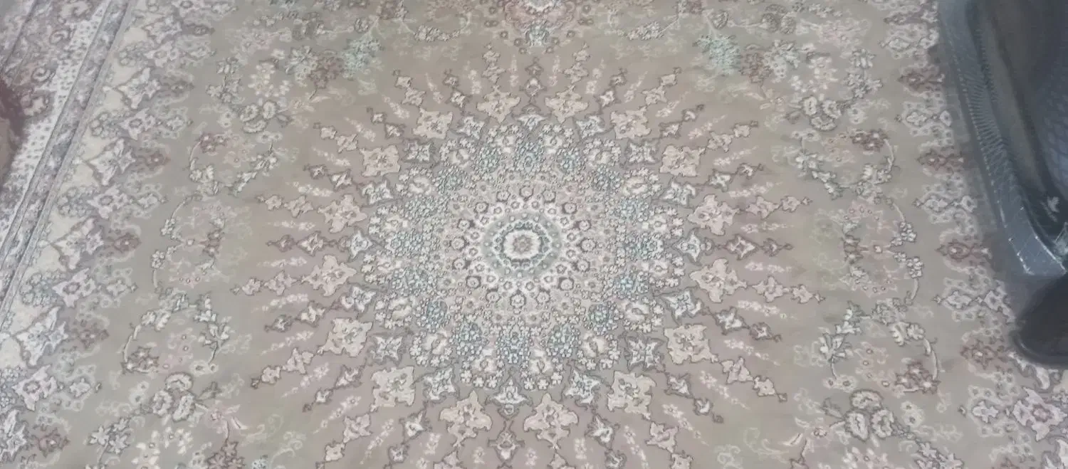 دو عدد فرش تمیز بدون پارکی|فرش|تربتحیدریه, پائین ولایت|دیوار