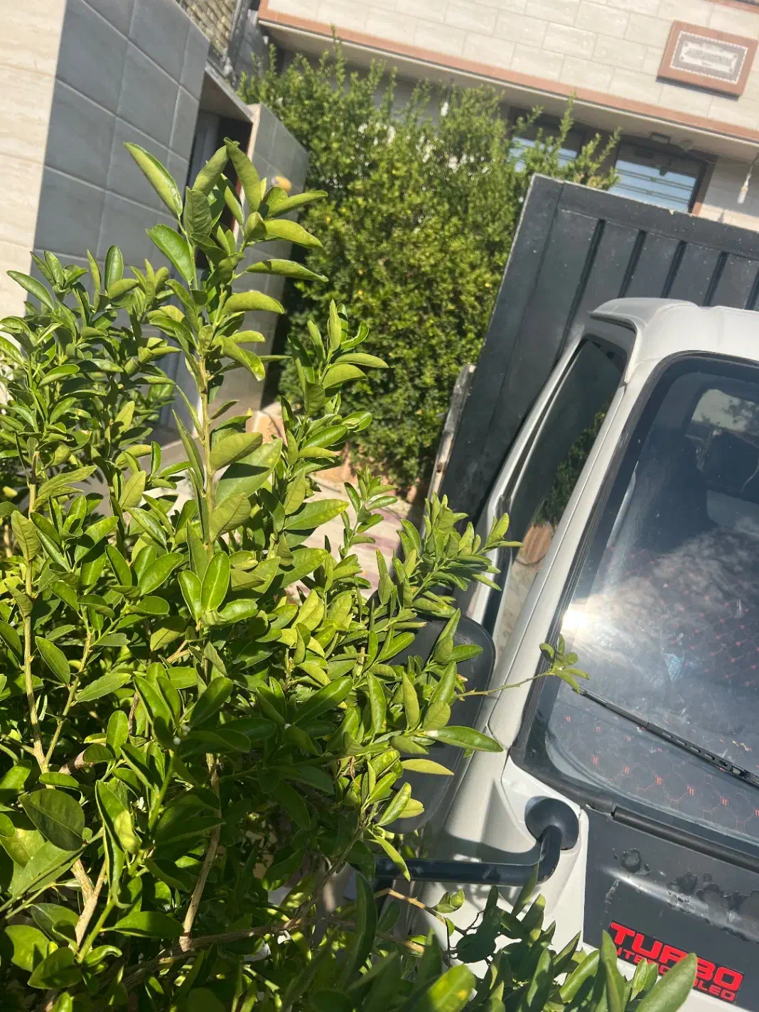 اتاق باری بغل بازشو ایسوزو ۵۲۰۰|قطعات یدکی و لوازم جانبی|کازرون, |دیوار