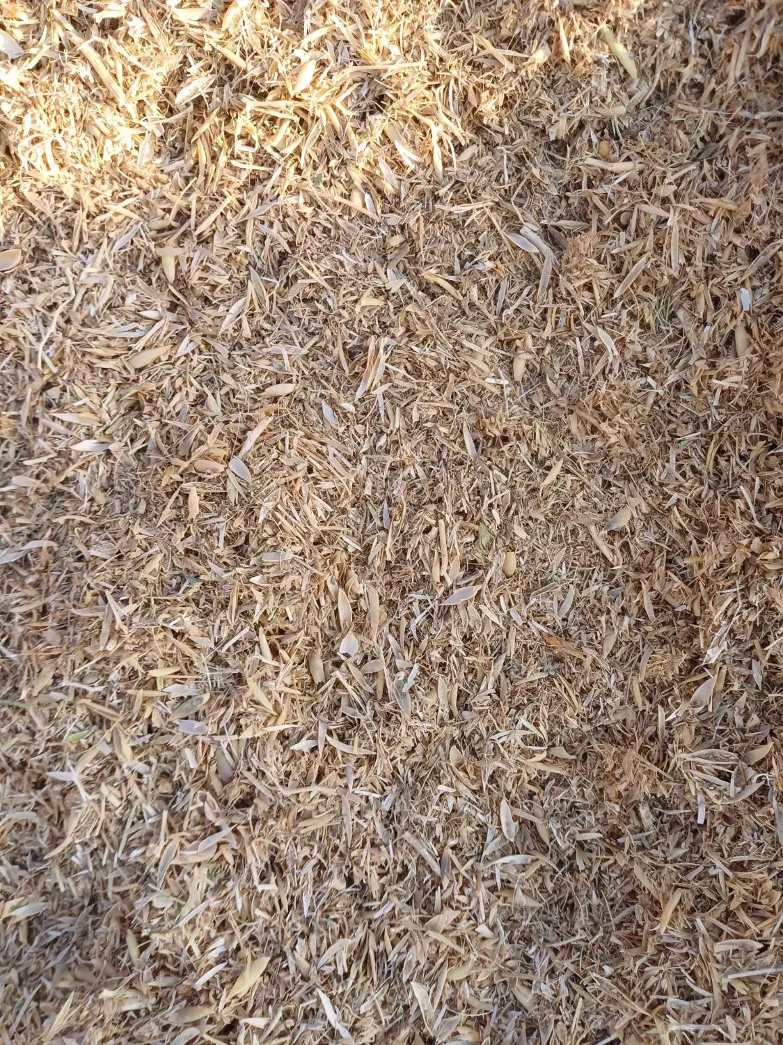 فروش کاه نخود|لوازم جانبی حیوانات|قیدار, |دیوار