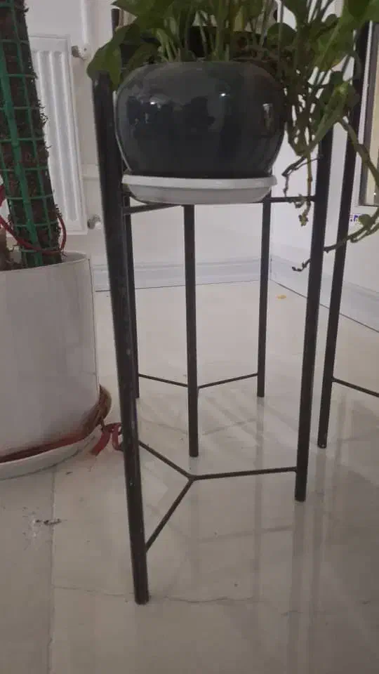 پایه گل|گل و گیاه طبیعی|سرخس, |دیوار