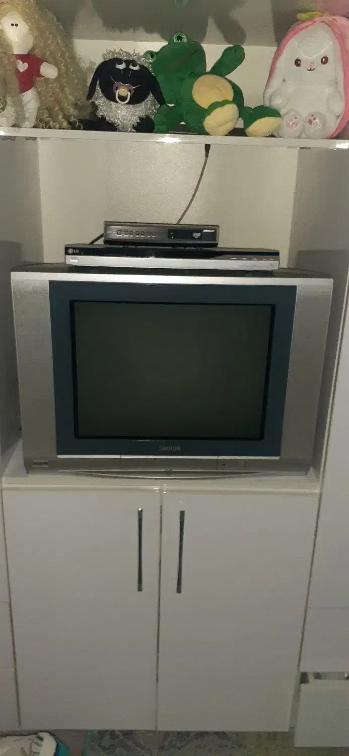 تلویزیون ۲۱ اینچ اسنوا|تلویزیون و پروژکتور|رشت, حومه رشت|دیوار