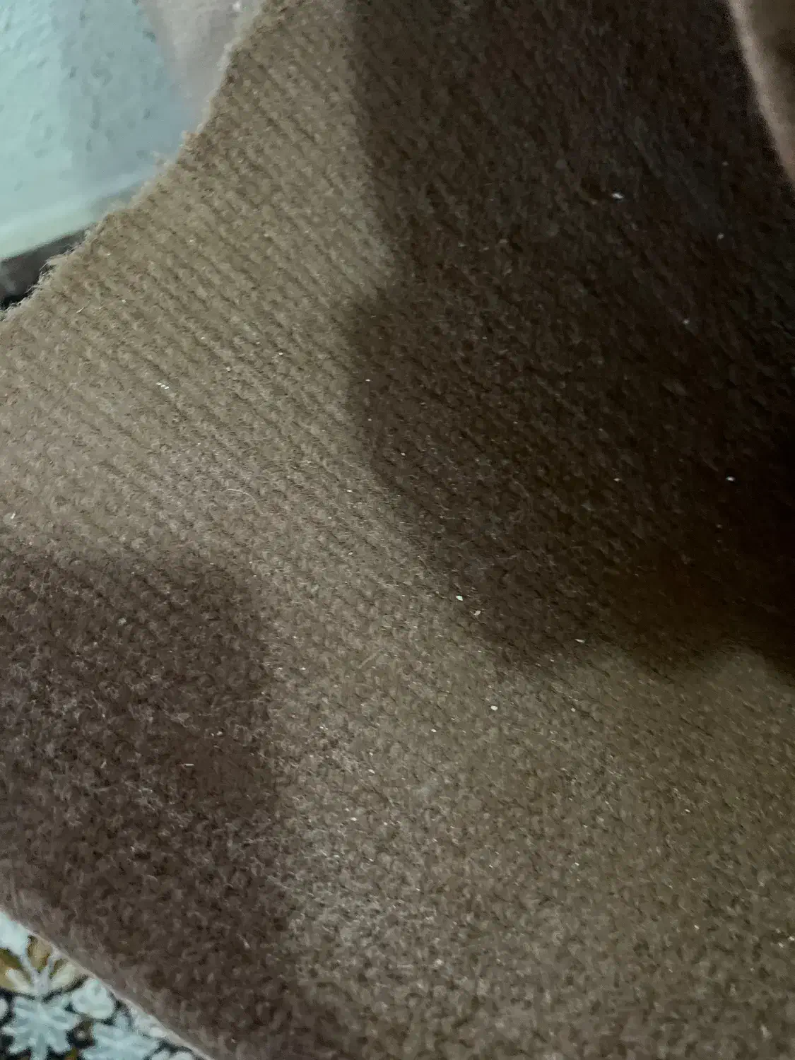 موکت در حد نو|موکت|ارومیه, |دیوار