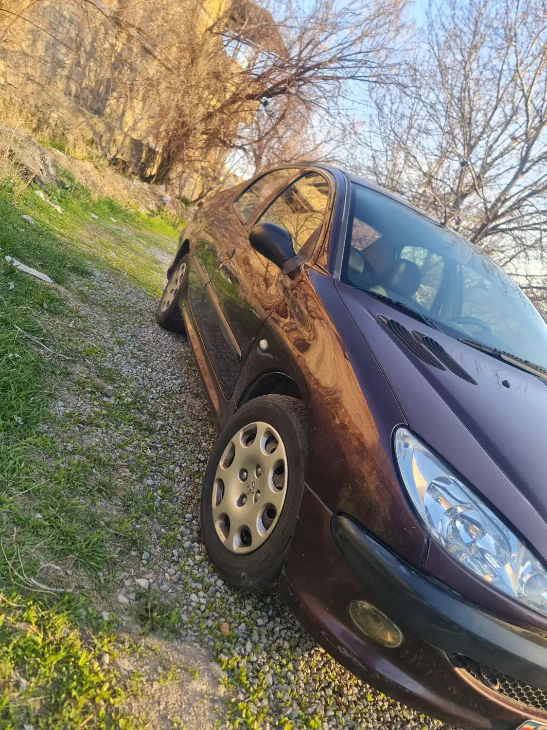 206  sd  V20|خودرو سواری و وانت|تبریز, |دیوار