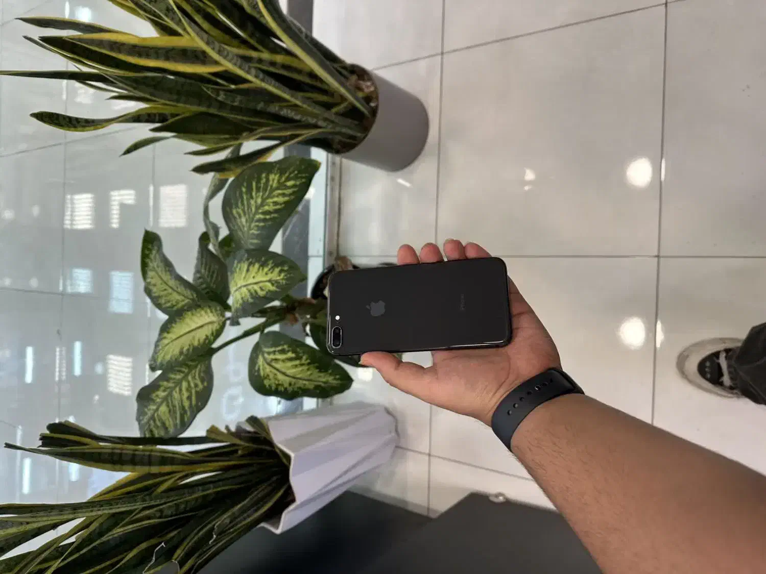 iphone 8 plus 256 LL/a از دم قسط و نقدی|موبایل|کرج, مهرویلا جنوبی|دیوار