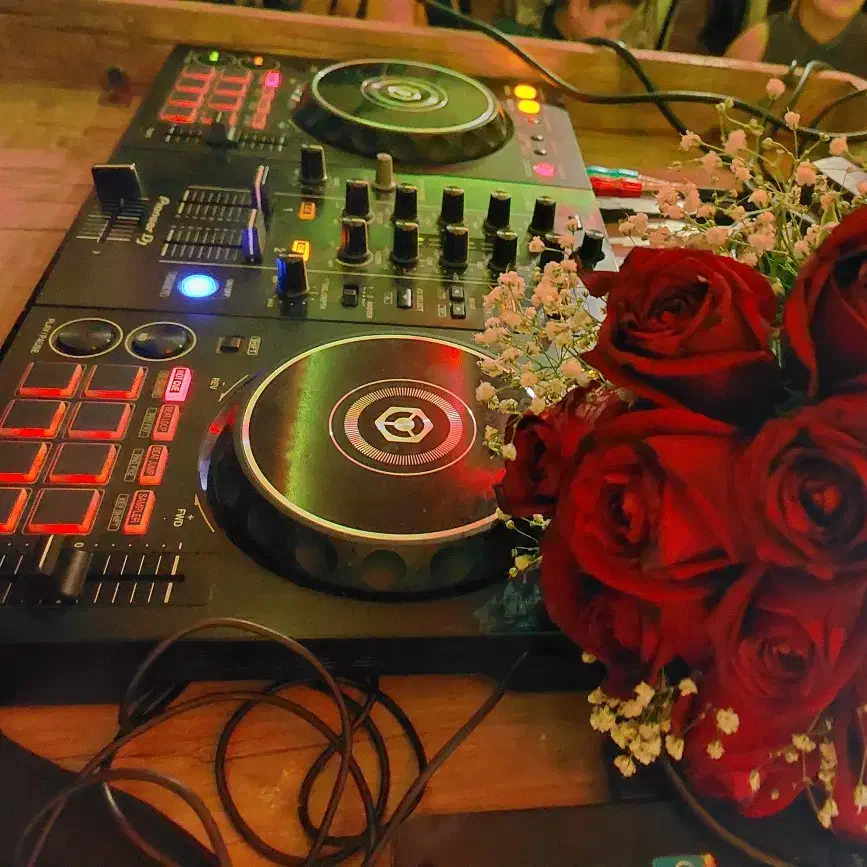 دیجی(دی جی،dj) خانم و نورپردازی حرفه ای|خدمات پذیرایی، مراسم|بندر ماهشهر, |دیوار