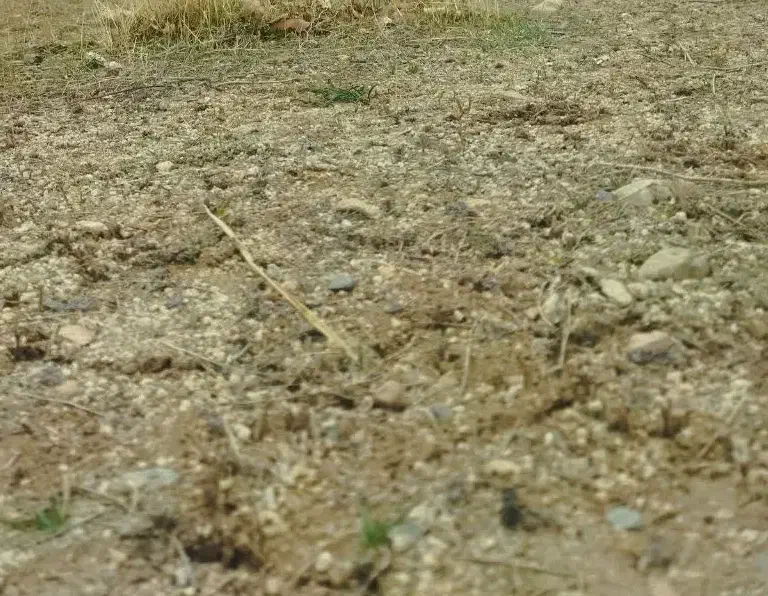 زمین ۲۰۰ متری خرانق|فروش زمین و ملک کلنگی|خرانق, |دیوار