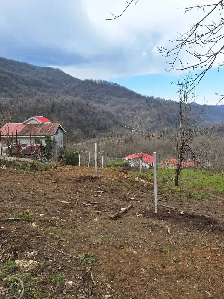 زمین مسکونی با پروانه در دل جنگل|فروش زمین و ملک کلنگی|سیاهکل, |دیوار