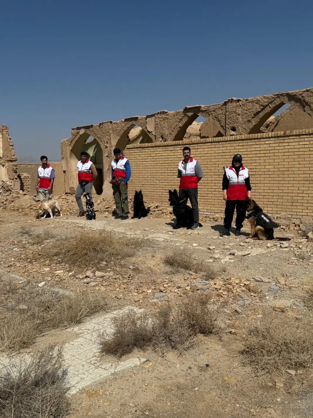 تربیت و مربی سگ|استخدام آموزشی|اصفهان, بهارستان|دیوار