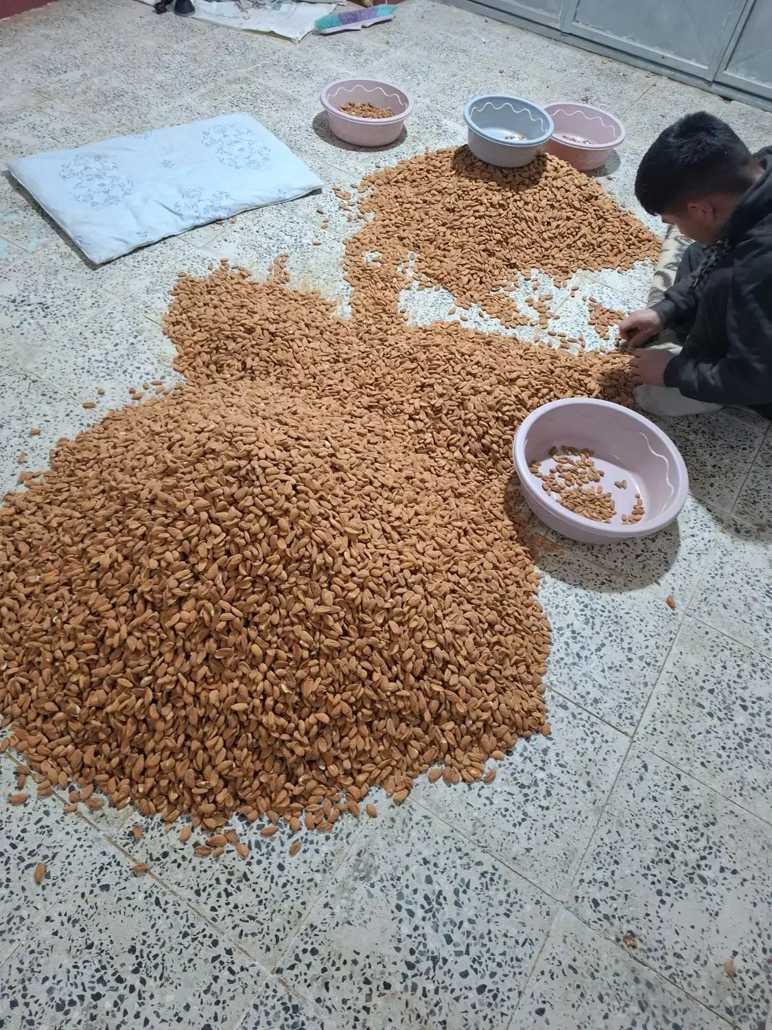 خریداربادام سنگی شاهرودی و غیر|خدمات باغبانی و درختکاری|نجفآباد, یزدانشهر|دیوار